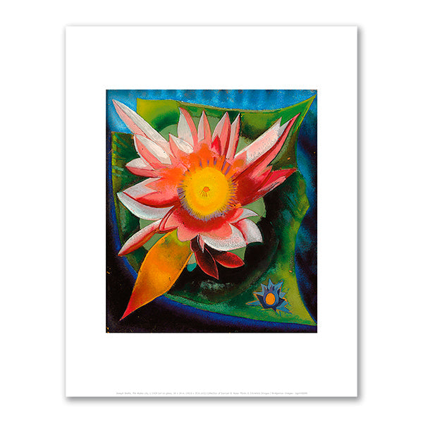 The Water Lily by Joseph Stella