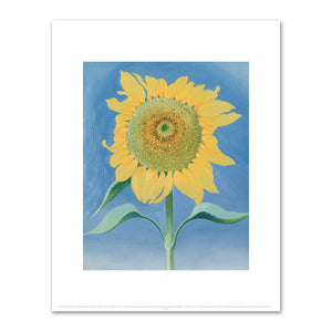 Georgia O'Keeffe, Sunflower, New Mexico, I, 1935, The Cleveland Museum of Art. Fine Art Prints in various sizes by 1000Artists.com