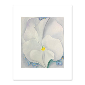 Georgia O'Keeffe, White Pansy, 1927,  The Cleveland Museum of Art. Fine Art Prints in various sizes by 1000Artists.com