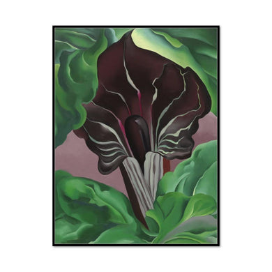 Jack-in-Pulpit - No. 2 by Georgia O'Keeffe Artblock
