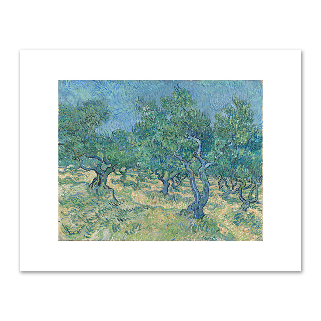 Vincent van Gogh, Olive grove, July 1889, Kröller-Müller Museum. Fine Art Prints in various sizes by 1000Artists.com