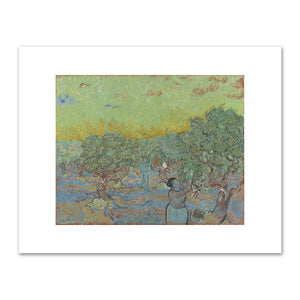 Vincent van Gogh, Olive grove with two pickers, December 1889, Kröller-Müller Museum. Fine Art Prints in various sizes by 1000Artists.com