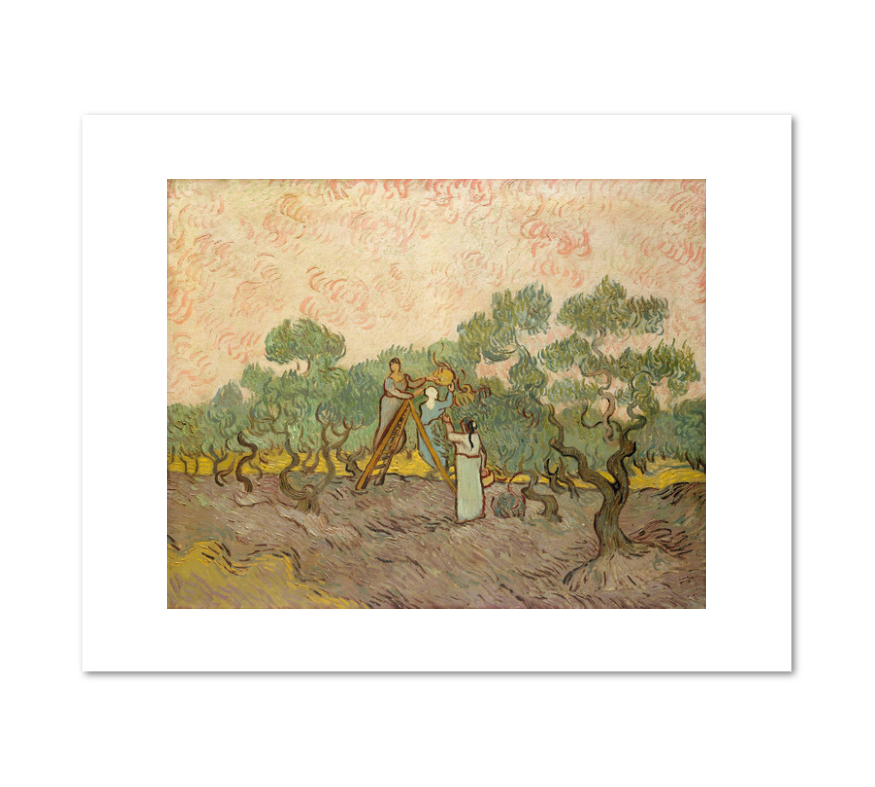 Vincent van Gogh, Women Picking Olives, 1889, Fine Art Prints in various sizes by 1000Artists.com