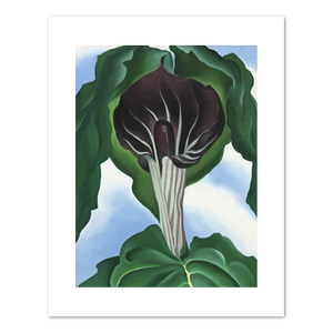 Georgia O'Keeffe, Jack-in-the-Pulpit No. 3, 1930, Fine Art Prints in various sizes by 1000Artists.com