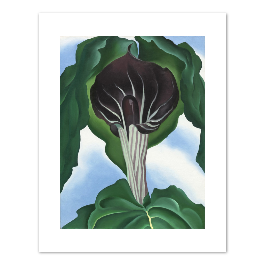 Georgia O'Keeffe, Jack-in-the-Pulpit No. 3, 1930, Fine Art Prints in various sizes by 1000Artists.com