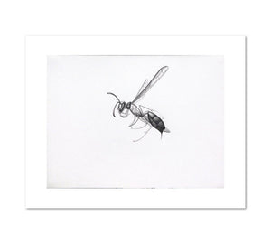 Alexis Rockman, Wasp 2, 1994, Fine Art Prints in various sizes by 1000Artists.com