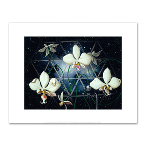Alexis Rockman, Biosphere: Orchids, 1993, Fine Art Prints in various sizes by 1000Artists.com