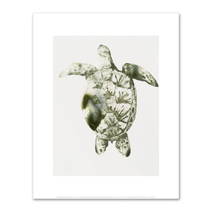 Alexis Rockman, Green Sea Turtle, 2014, Private Collection, © Alexis Rockman. Fine Art Prints in various sizes by 1000Artists.com